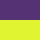 Purple & Yellow